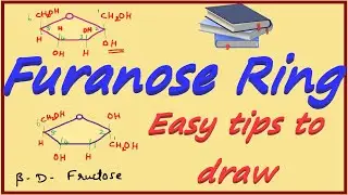 Furanose Ring of Fructose || Cyclic Structures in Carbohydrates || Pyranose & Furanose Rings