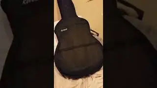 My new guitar