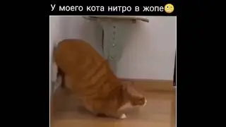 Приколы 2022 #прикол #ржач #рек #приколы2022