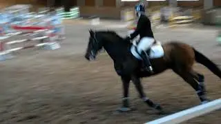 29.10.2017 Kwidzyn Brador P