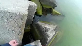 Морская Рыбалка Одесса Апрель 2017/Sea Fishing Odessa April 2017