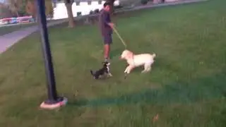 Lulu and Haru part 2