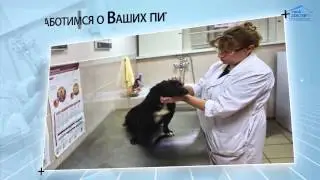 Сеть ветеринарных клиник "Свой доктор"