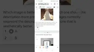 AI Art Comparison 0.02  training passed with 100% score