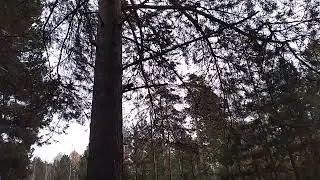 15 октября 2022 г.