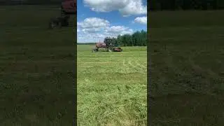 #2024 #farming #сезон #поле #сено #сенокос #макдон #macdon