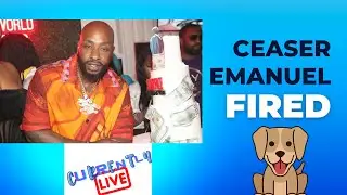 Black Ink Crew Star Ceaser Emanuel Fired From VH1 FOR DOG ABUSE