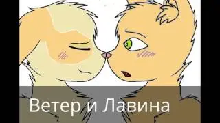 ПАРЫ кв , мои персы и не только !!!!