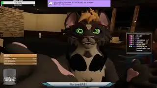 FAB explains how hes not a furry