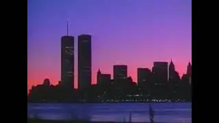 𝐂𝐥𝐞𝐚𝐫 𝐒𝐤𝐢𝐞𝐬
