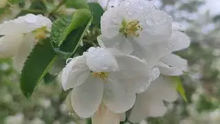 Два финиша и подарочки.