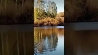 КАКАЯ КРАСОТА 