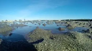 Белое море, Часть 2: Приливная