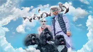HANNA NOIR x PIMF - NOBODY (OFFICIAL VIDEO)