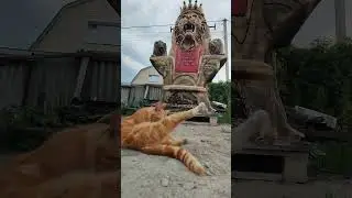 скульптор кот