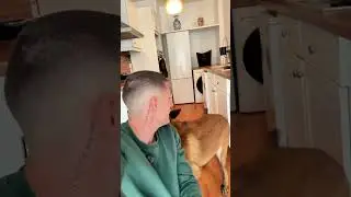 Seven, help me! 😂 