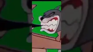 Video Baru Green Screen || Tom And Jerry 2023 Funny Video #shorts #cartoon