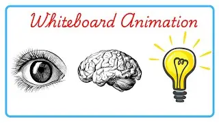 How to make Whiteboard animation video in Canva | Whiteboard animation tutorial