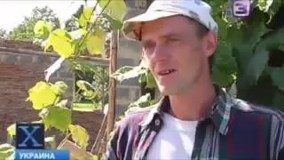 Медведь-оборотень держит в страхе жителей Закарпатья! Жуть!