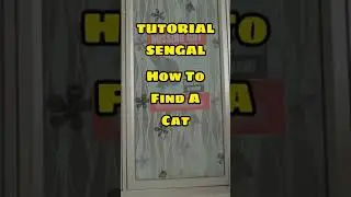 How To Find A Cat | Tutorial Sengal #short