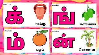 மெய் ௭ழுத்துக்கள் / ik ing ich /Learn tamil letters ik ing ich for children @Elatekidz-ql1yk
