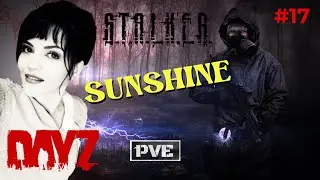 DAYZ | Обзор НОВОГО Stalker pve Cервера SUNSHINE | DayZ Pve