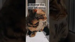 все именно так 