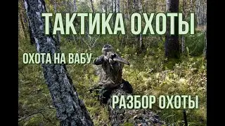 Охота на самцов сибирской косули во время гона.