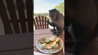 Mom... 