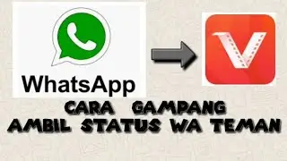 Cara mengambil status WhatsApp di vidmate