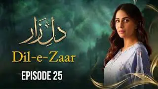 Dil e Zaar Episode 25 | Faisal Qureshi, Faryal Mehmood | Full Episode HD | New Pakistani Drama
