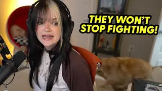 PeachJars' dogs almost broke her PC