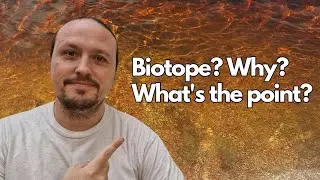 Biotope? Why? What's the point?