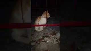 Милашки❤😍