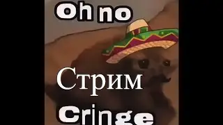 Стрим по CS:GO с GARYSHISH