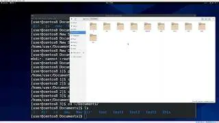 06. Paths and Directories (RHCSA)