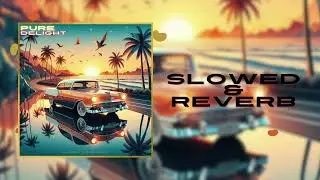 JASPER VIBES - Pure Delight (Slowed & Reverb)