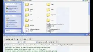 Cum modifici imaginea din client (LemoneHost)