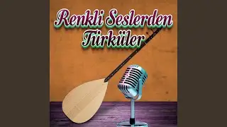 Gül Ağacı Değilem