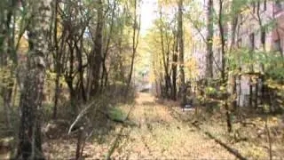 Czarnobyl 2010