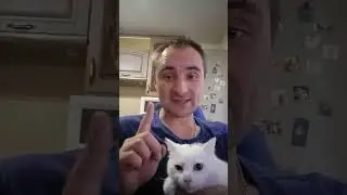 Что, если пить пиво каждый день? 