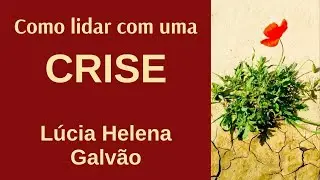 HOW TO DEAL WITH A CRISIS (2018) - Lúcia Helena Galvão