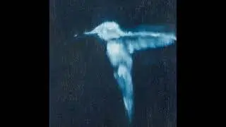(FREE) Malo & La Fève 
