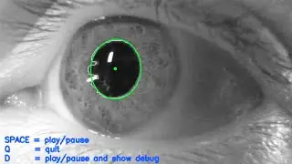 A Lightweight Python Eye Tracker (open sourced)