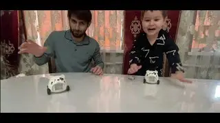КОНКУРС/Новая неделя подарков #brawlstars #бравлстарс #конкурс