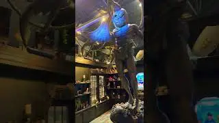 Little Spider Creations Transworld 2024