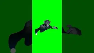 Green Screen 