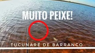 Pescaria de barranco três Marias, só pancada na superfície!
