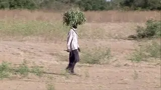 The International Training Program