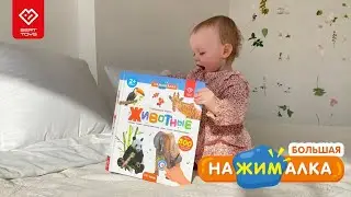 Большая говорящая книга Нажималка | BertToys | Развивающие игрушки